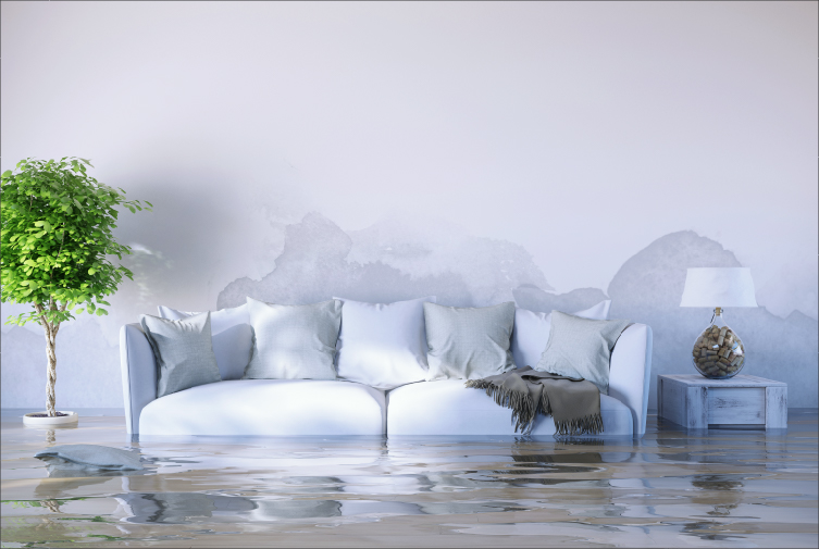 Ride with confidence.  You're rolling with the best